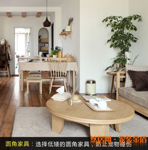 家有愛寵裝修小竅門