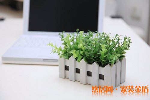 室內(nèi)盆栽選擇有哪些講究？ 