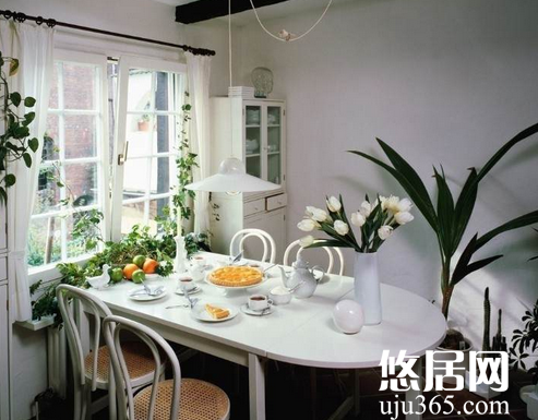 室內(nèi)適合擺放哪些植物